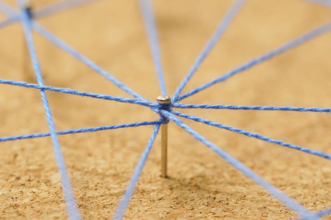 Yarnie: il filo invisibile che unisce piante, salute e risparmio. Il segreto di una vita più semplice