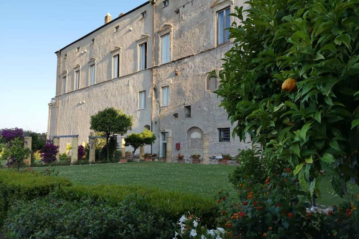 L'albero di limone in cortile: il simbolo verde del Sud Italia