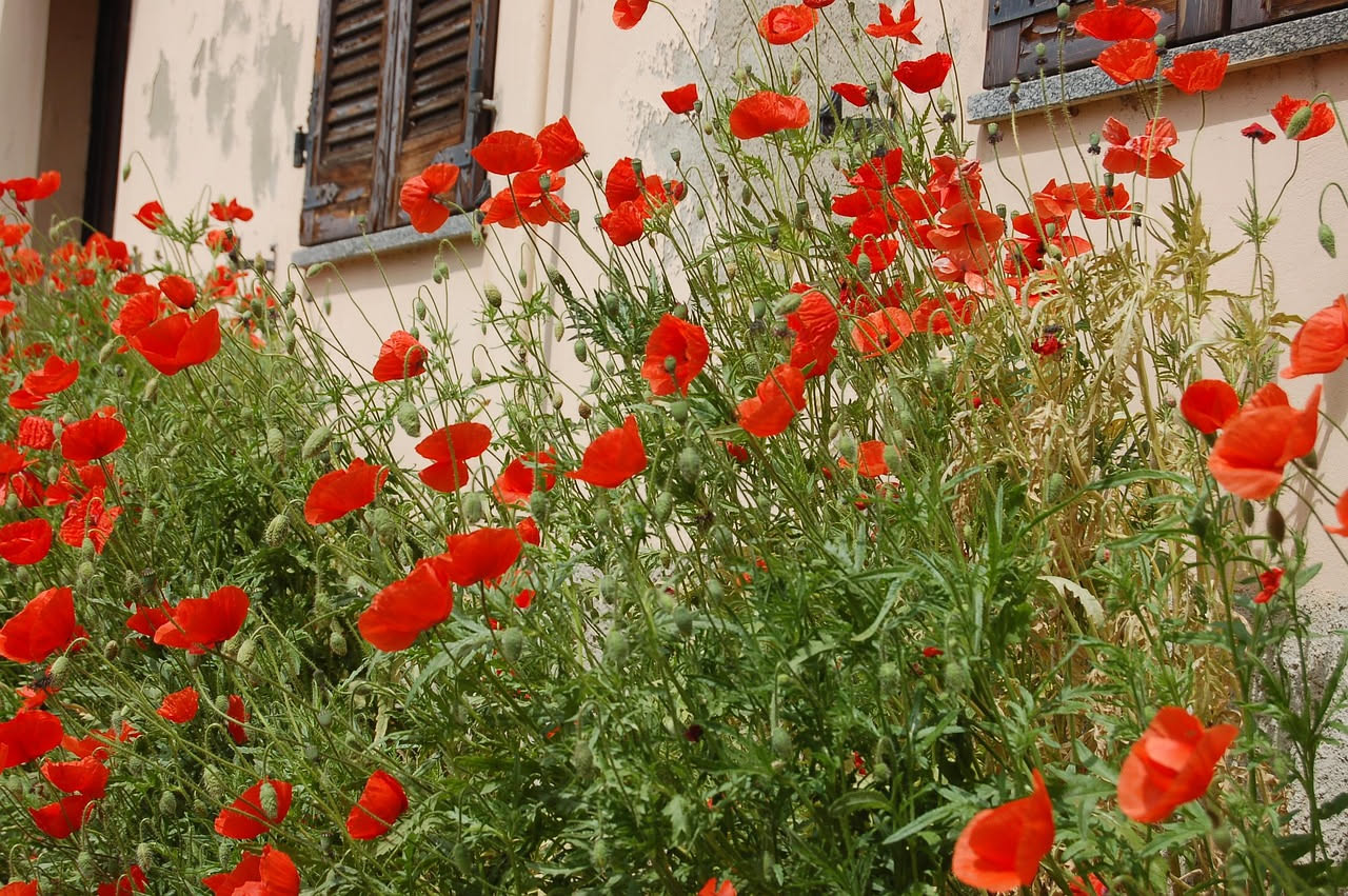 La porta finestra sul terrazzo: perché era il cuore della casa italiana