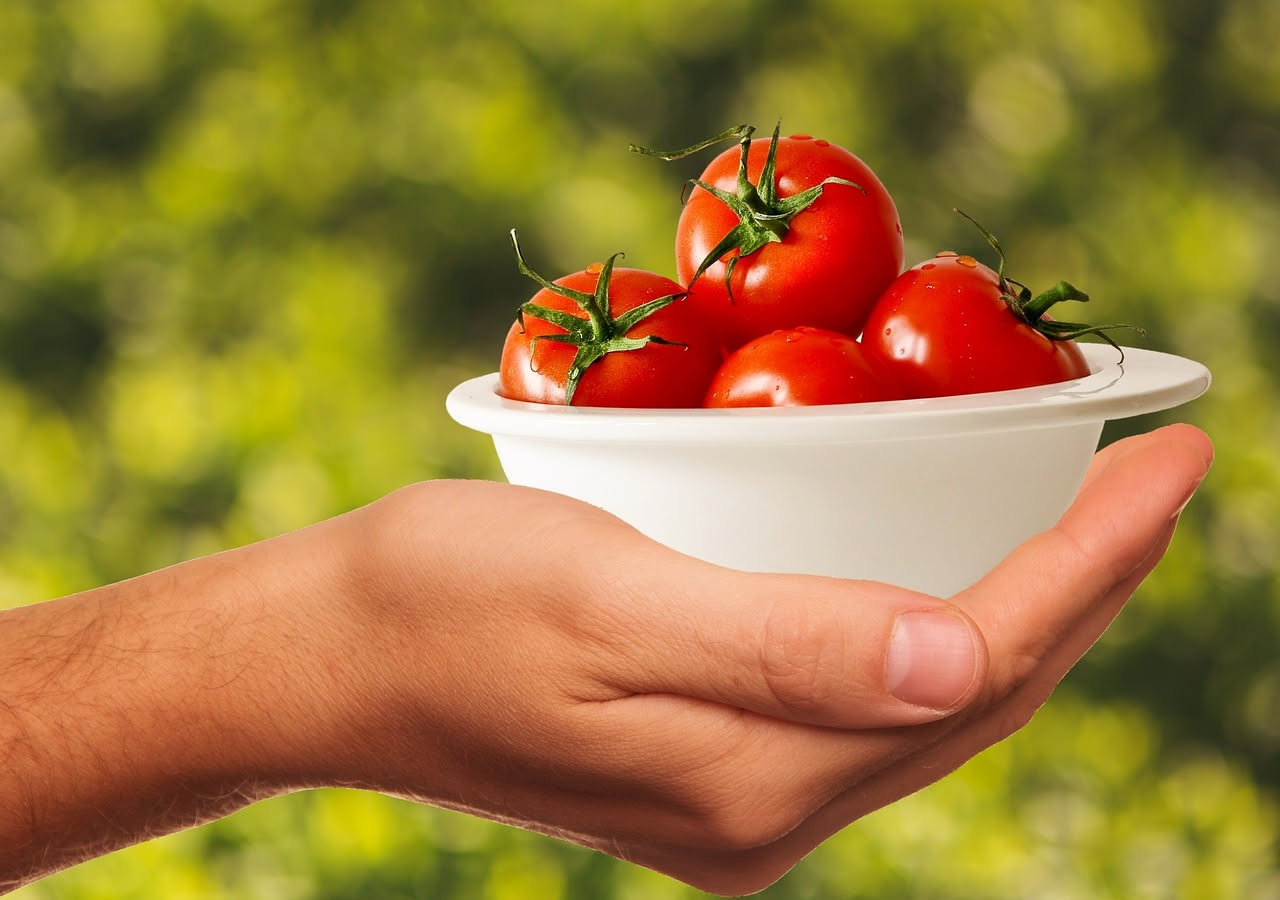 San Marzano DOP: dal campo campano alla tavola mondiale