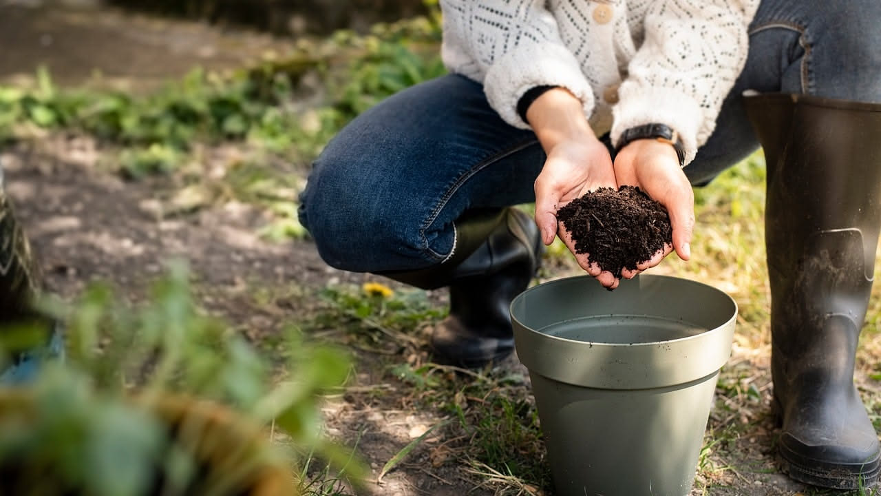 Compost in balcone: come evitare cattivi odori e fare scelta consapevole