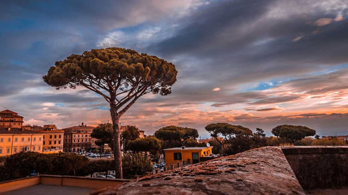 Alberi in città: quanto abbassano le polveri sottili nei nostri balconi