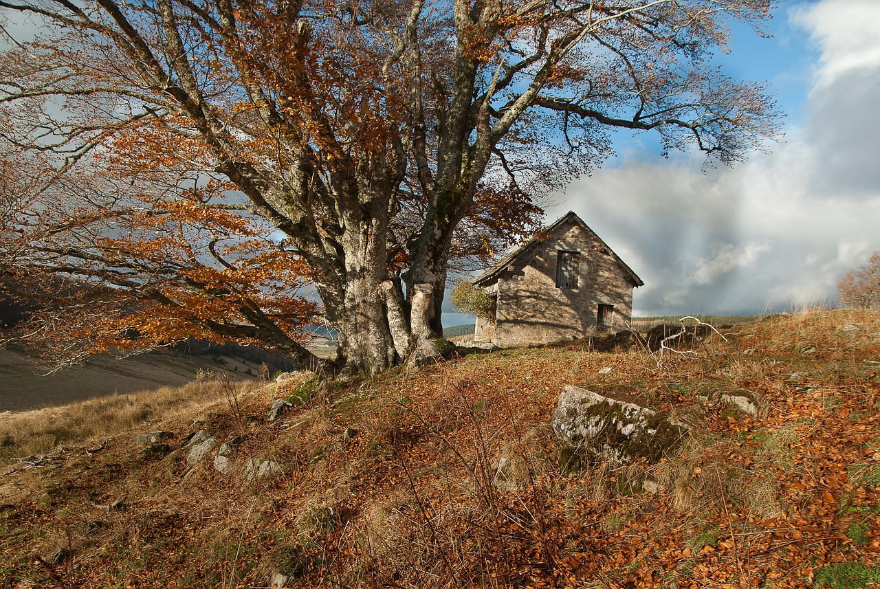 Case di pietra dell Aspromonte: quando l architettura parla senza rumore