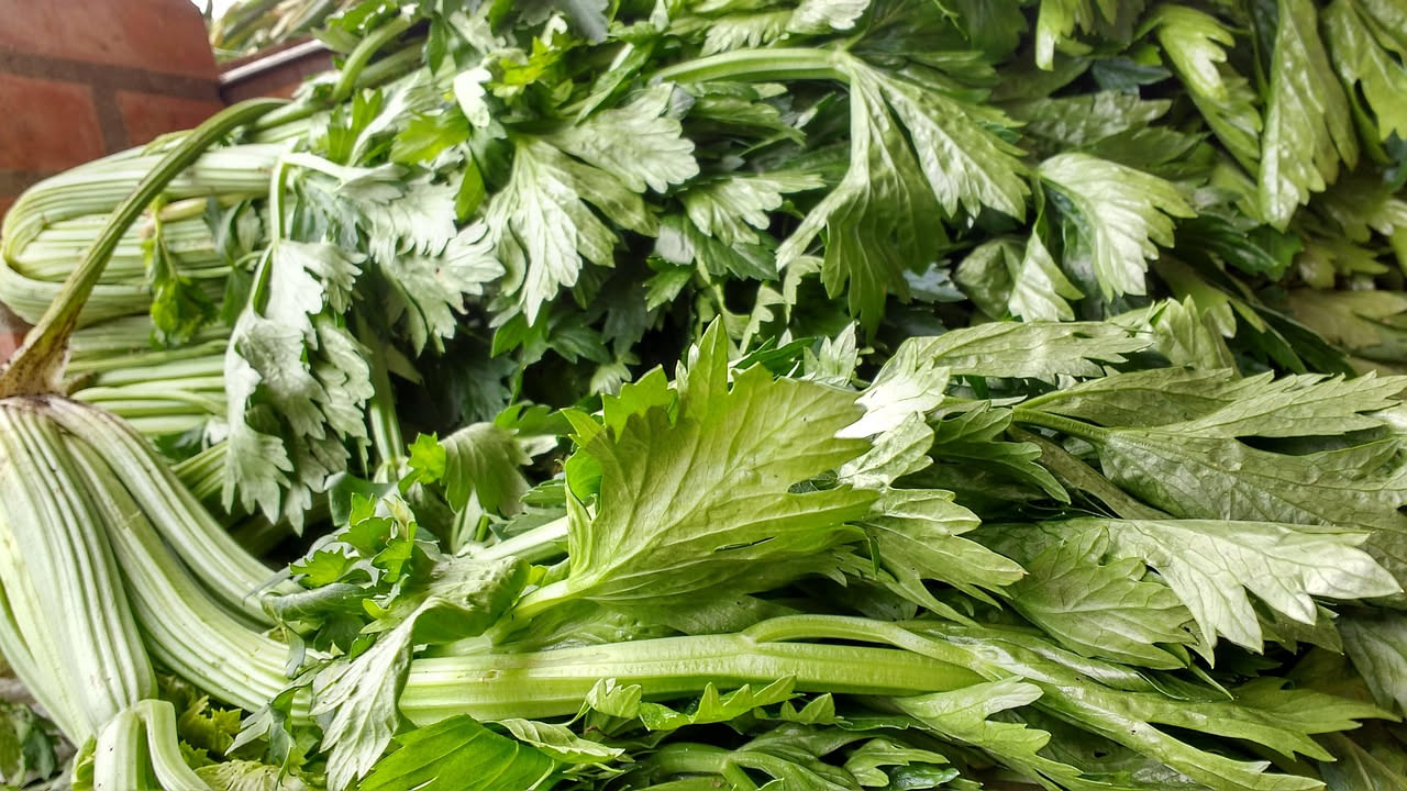 Foglie di sedano dopo il brodo: come conservarle e riutilizzarle