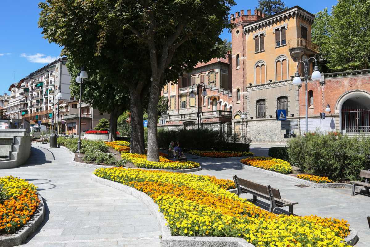 Padova città giardino: quanti alberi nel cuore storico