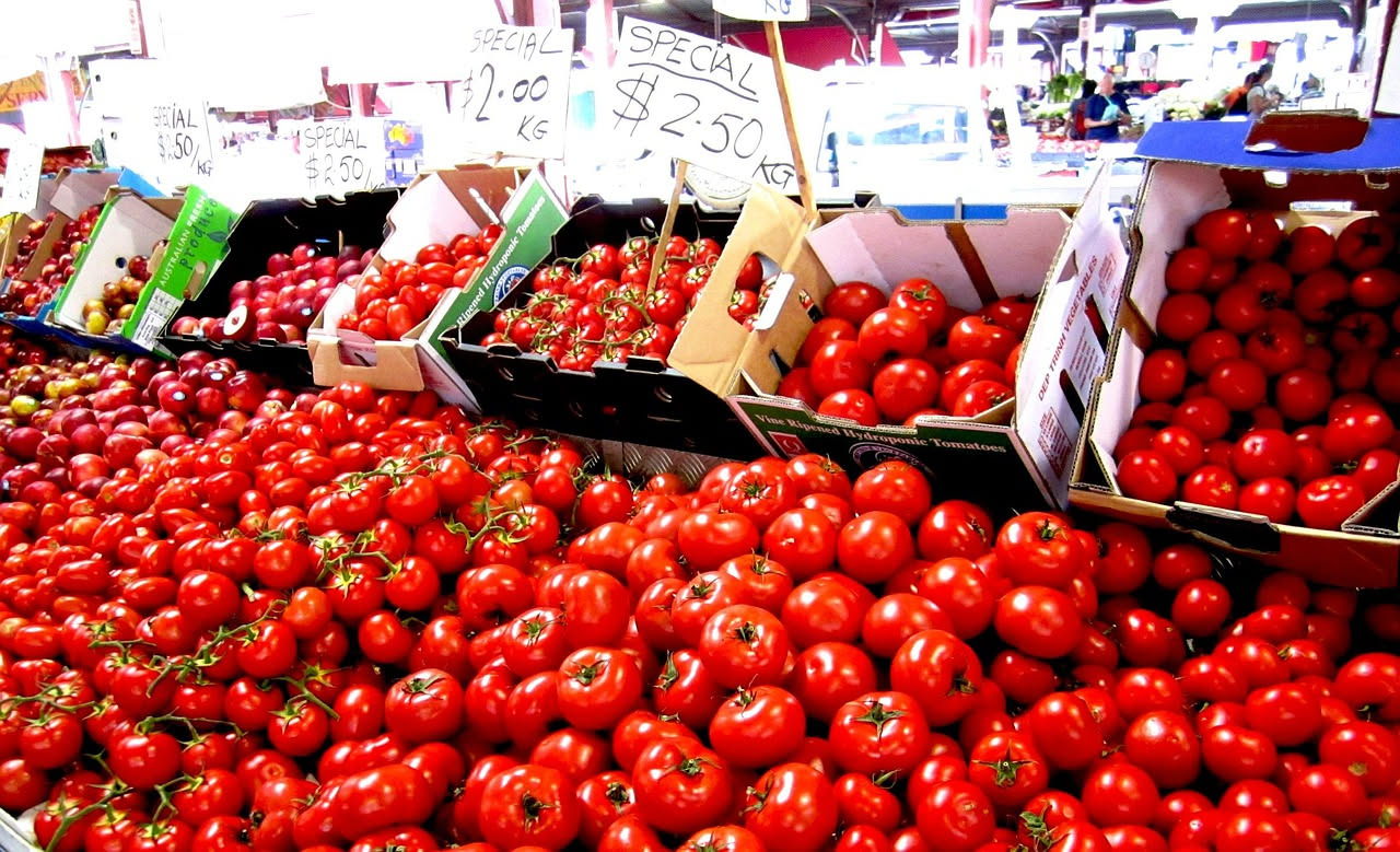 Dal campo alla scatola: il viaggio del pomodoro pelato e il costo nascosto