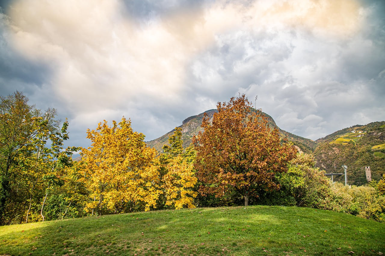 Trento verde alpina: come la valle respira con le foreste circostanti