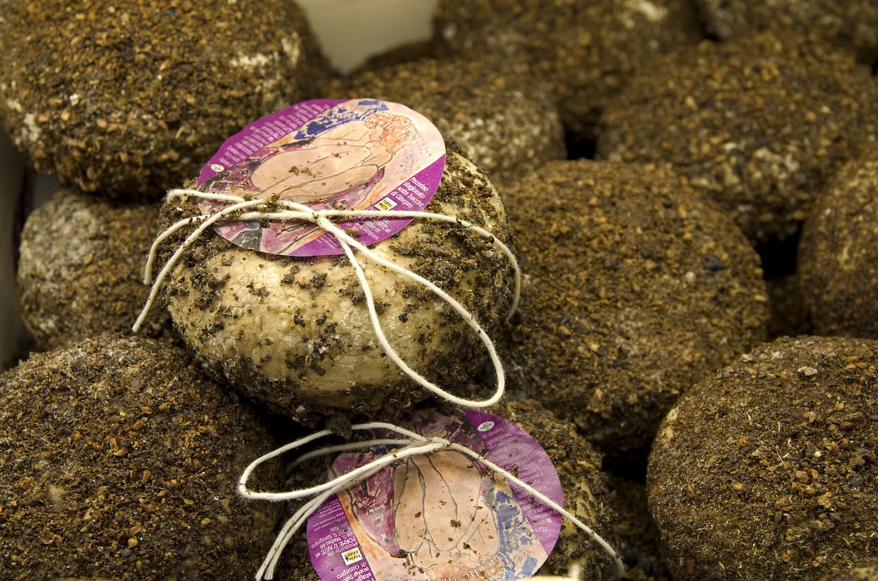 Pecorino sardo: dal pascolo all'affinamento, il viaggio di un formaggio