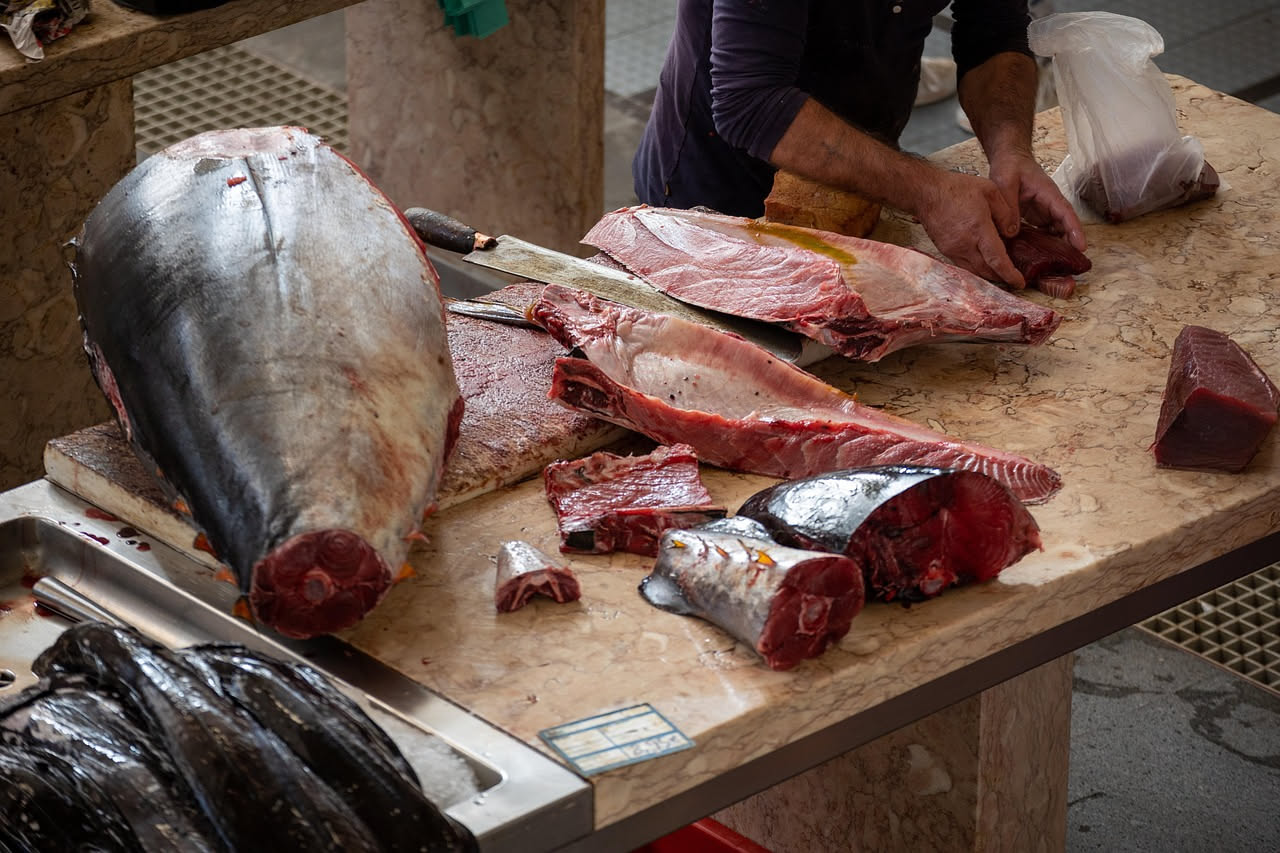 Tonno fresco o in scatola: quale scegliere tra i due