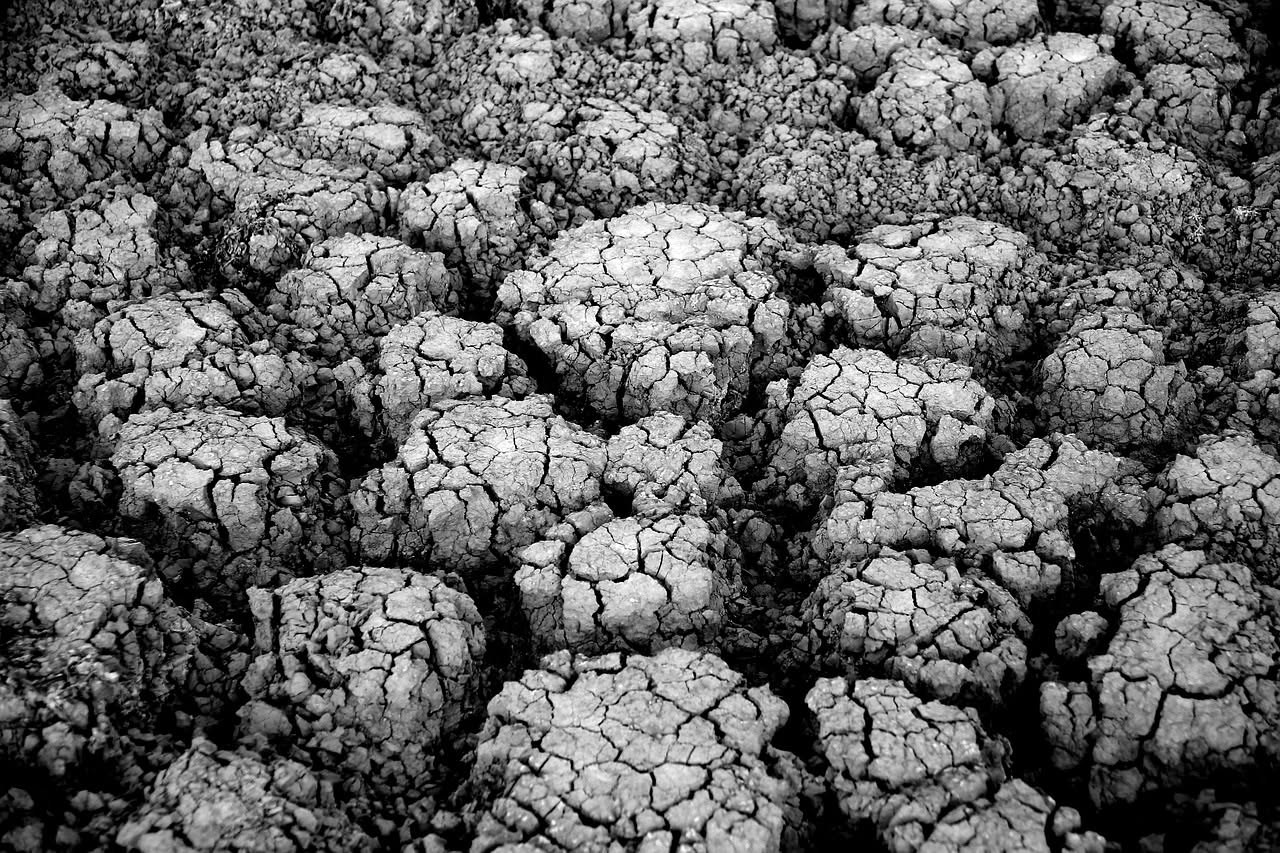 Siccità nei campi italiani: cosa imparare dalla memoria della terra