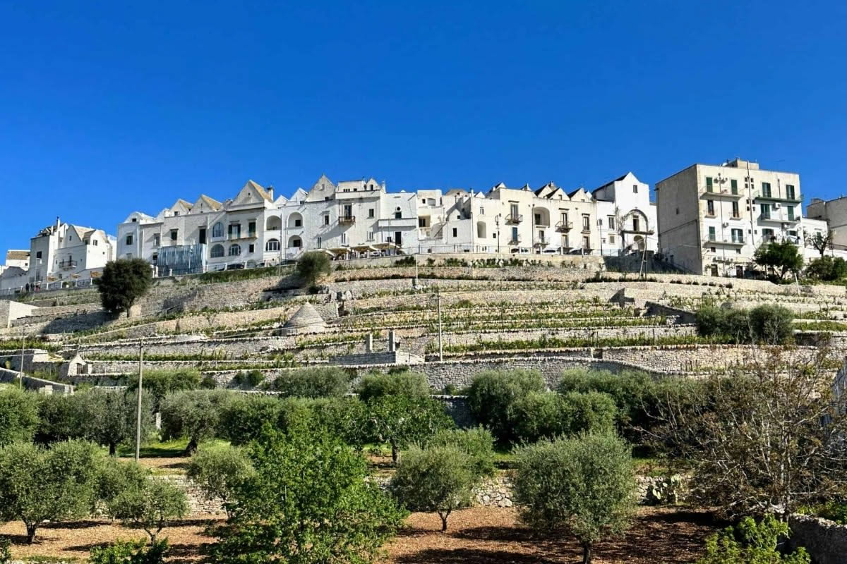 Le masserie pugliesi e i loro tetti: quando l'architettura rurale incontra il clima del Sud
