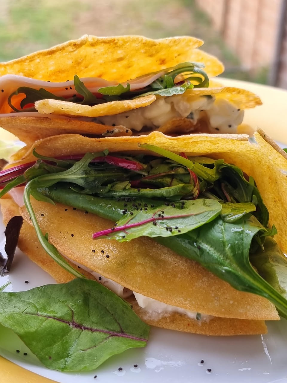La piadina romagnola: da grano a tavola, il viaggio di una filiera