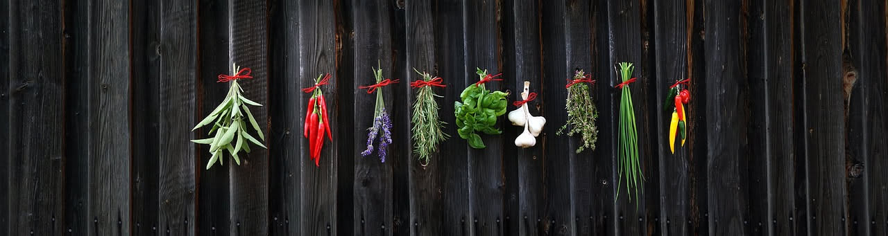 Coltivare le erbe aromatiche tutto l'anno: la guida per il balcone