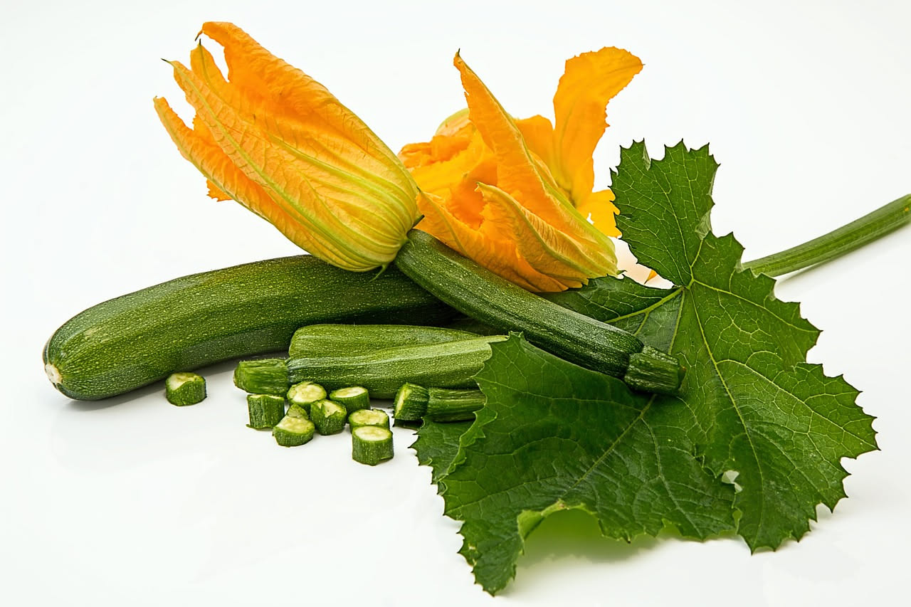 Coltivare le zucchine tonde in vaso: la guida completa