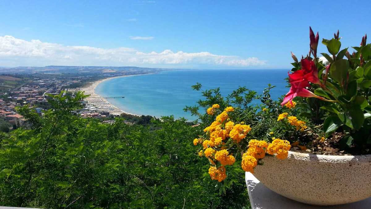 Come proteggere l'orto in vacanza: i metodi che funzionano