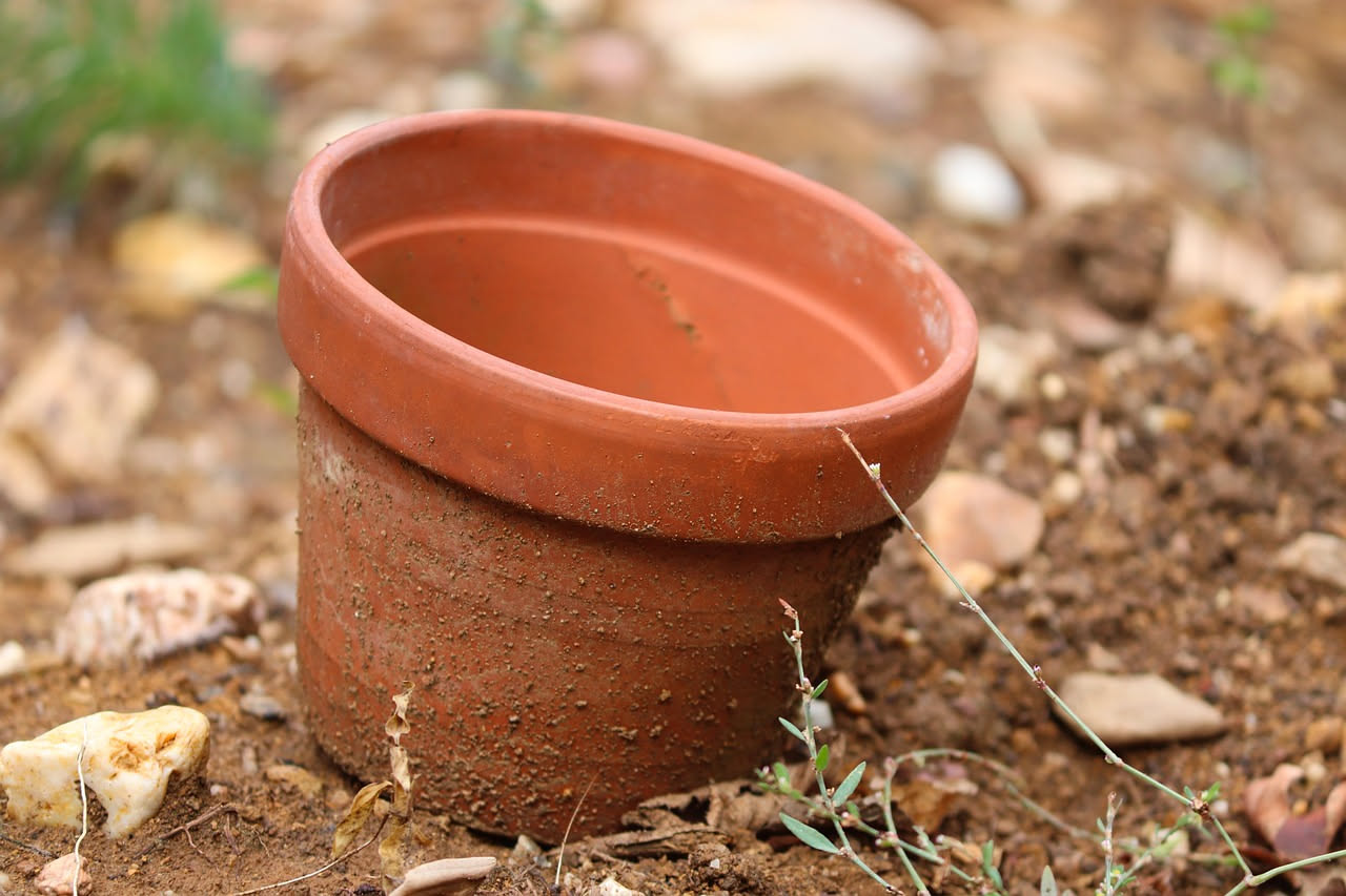 Perché l'orto in vaso si asciuga in fretta: come rimediare